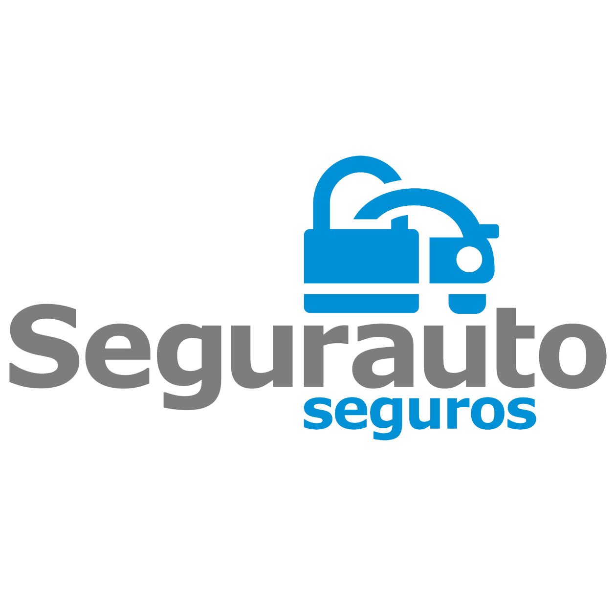 SEGURAUTO ADM E CORRETAGEM DE SEGUROS